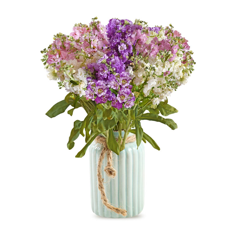 Spray Stock Assorted Flowers Pack 50 Stems - EbloomsDirect