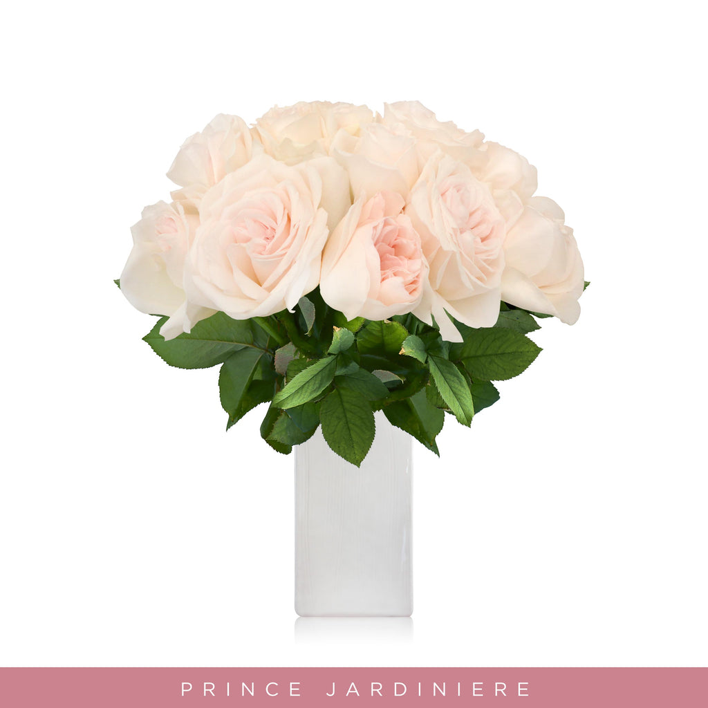 Garden Roses - Prince Jardiniere - Blush Pink flower wholesale roses - English roses - Premium scented roses EbloomsDirect