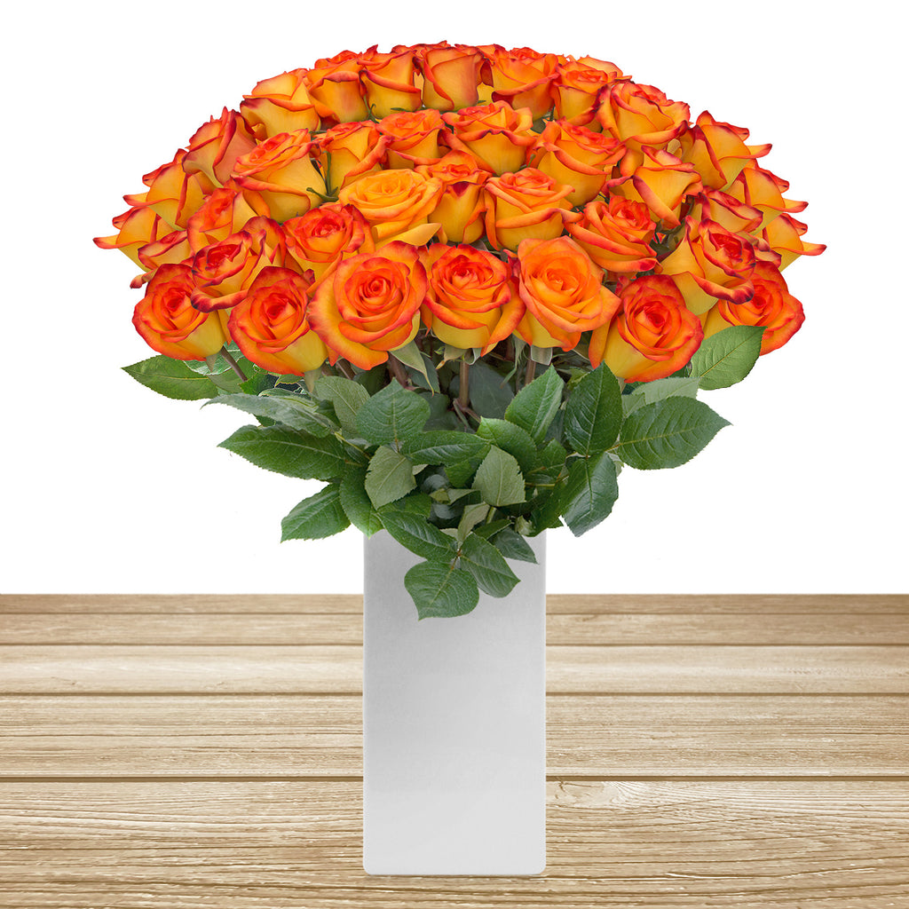 Roses Bicolor Yellow & Orange 60cm Long Stem Pack 100 Stems- EbloomsDirect