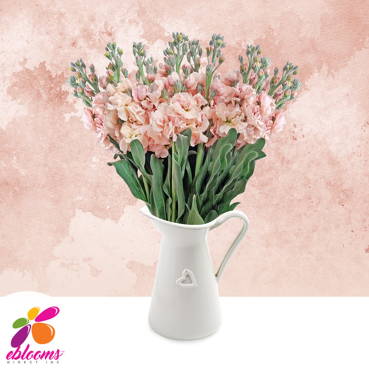 Stock Peach Flowers Pack 80 Stems -EbloomsDirect