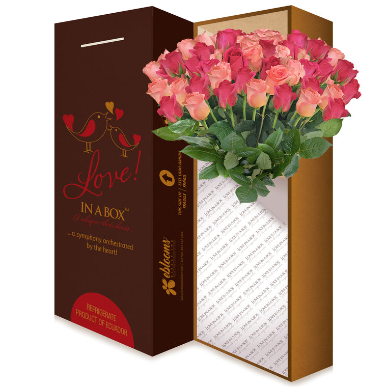 Love in a box 50 Roses hot Pink & Light pink 50cm - Vase Included- EbloomsDirect