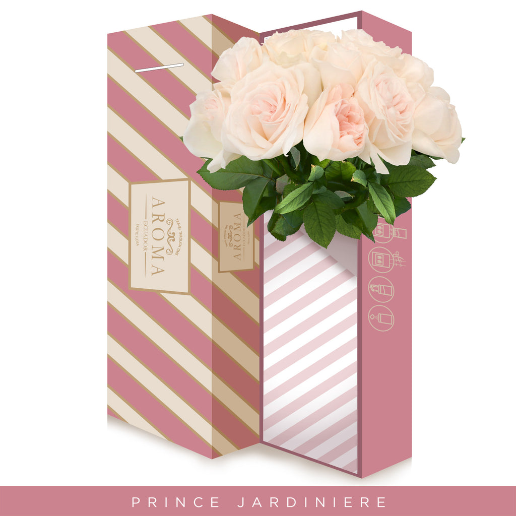 Garden Roses - Prince Jardiniere - Blush Pink flower wholesale roses - English roses - Premium scented roses EbloomsDirect