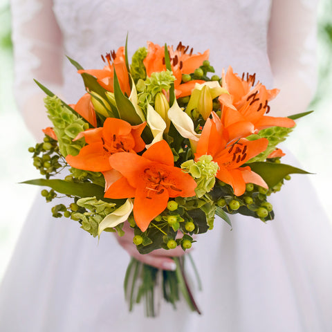 Sonoma Flair Orange - Green Box