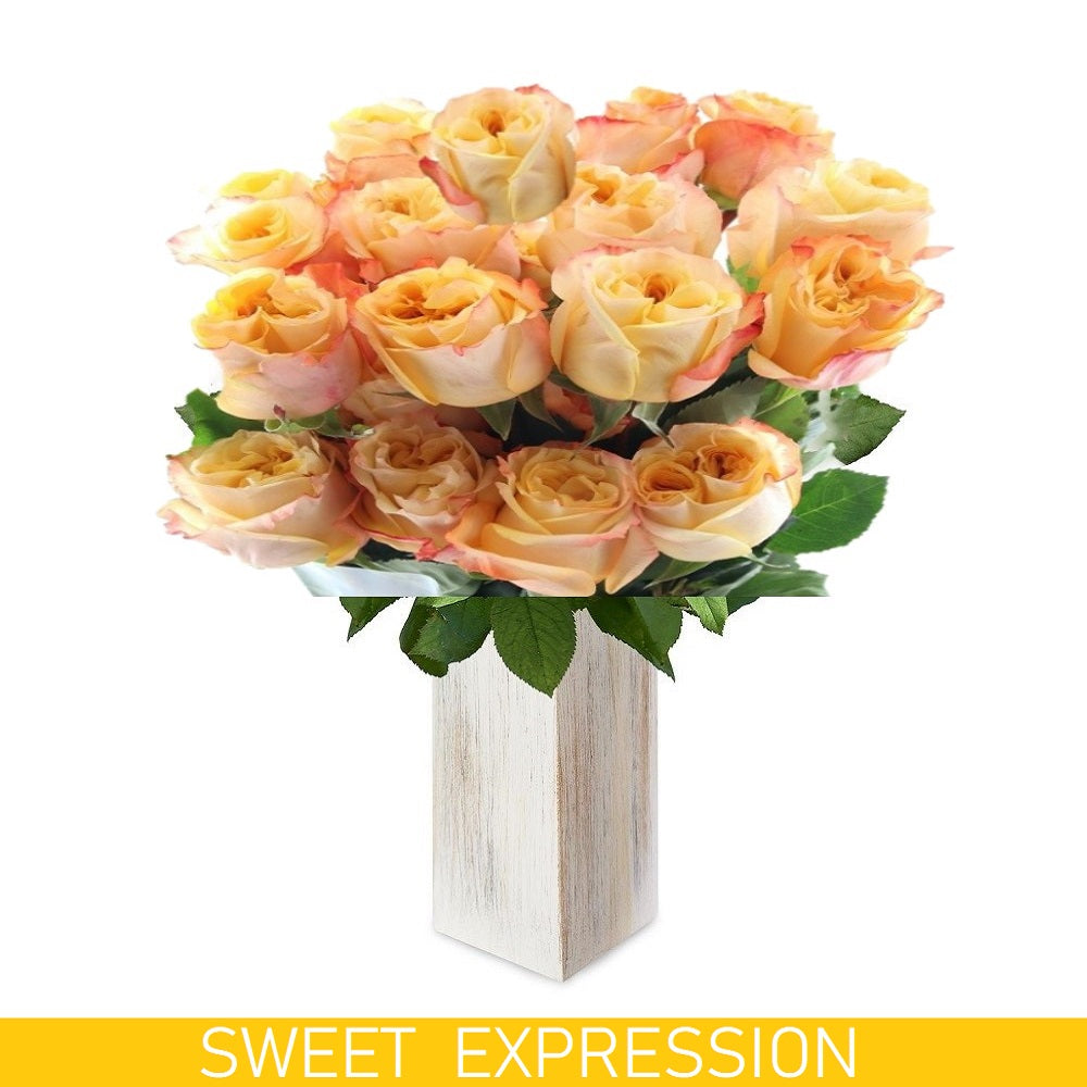 Sweet Expression Garden Rose - EbloomsDirect