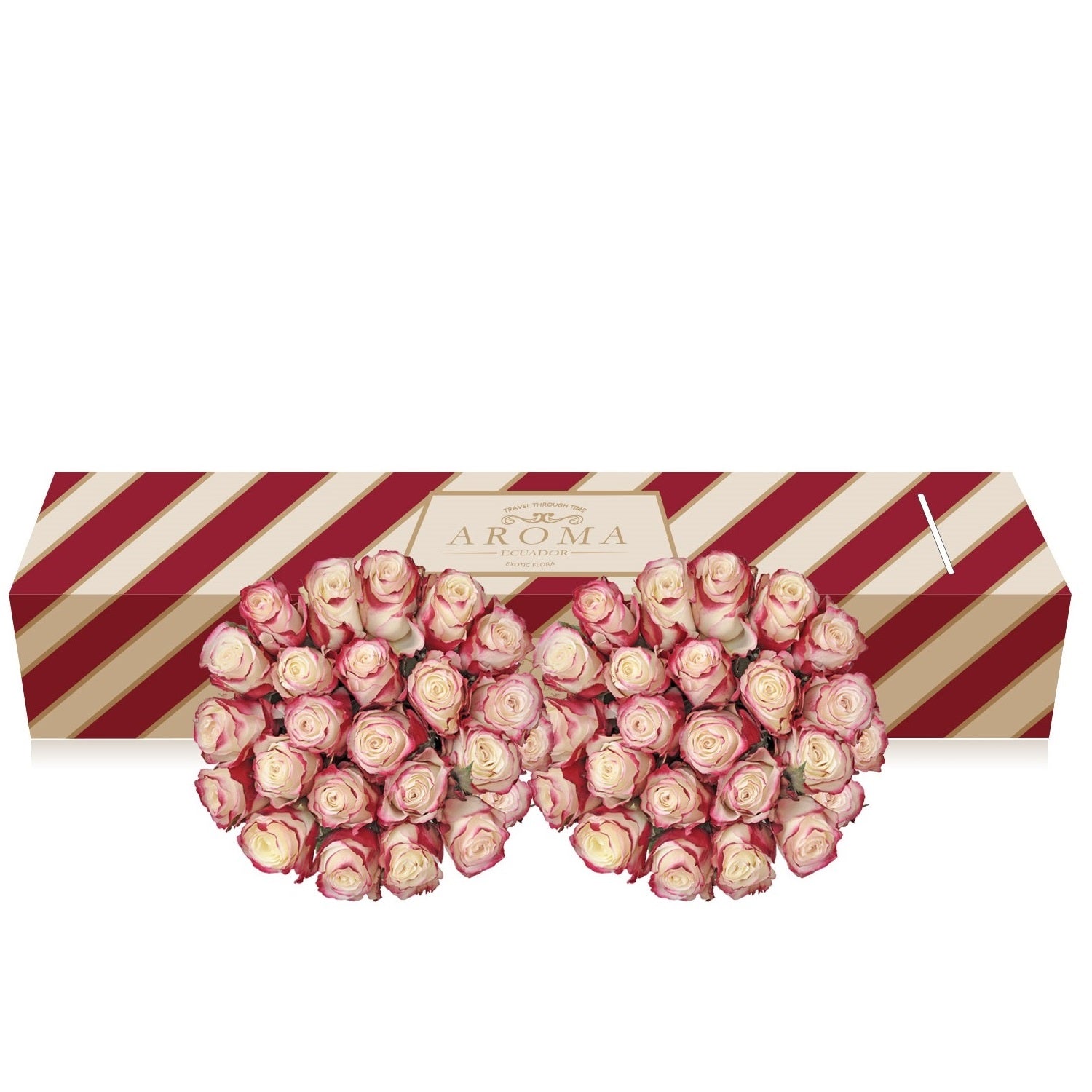 Bicolor white red roses the best flower arrangements centerpieces and bouquets to order online for any ocassion  and Valentine's day