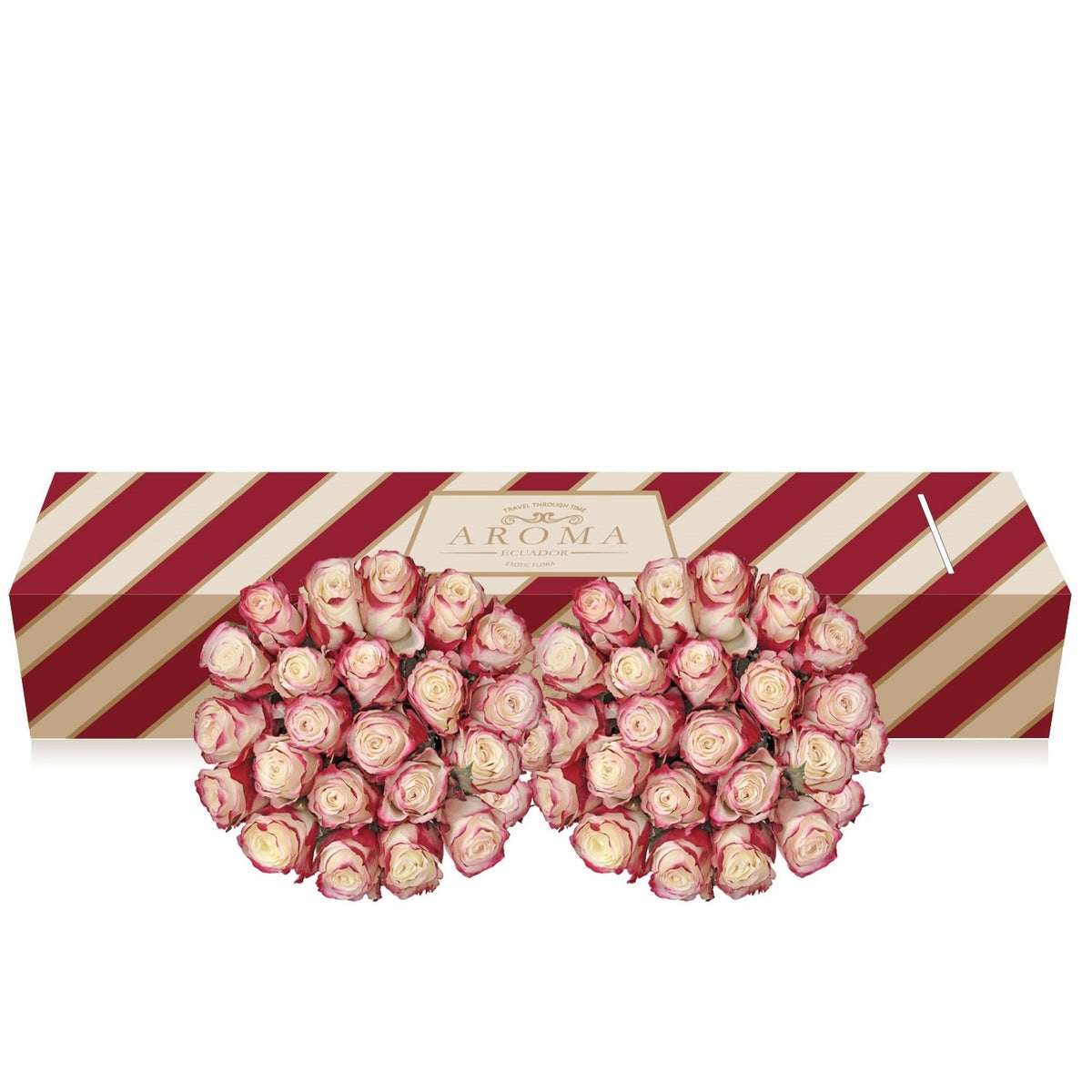 Bicolor white red roses the best flower arrangements centerpieces and bouquets to order online for any ocassion  and Valentine's day