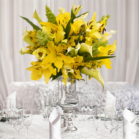 Sonoma Flair Yellow Box
