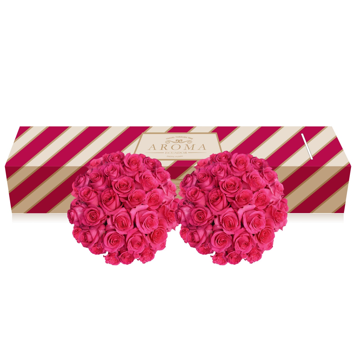 Hot pink Roses the best flower arrangements centerpieces and bouquets to order online for any ocasssion  and Valentine's day