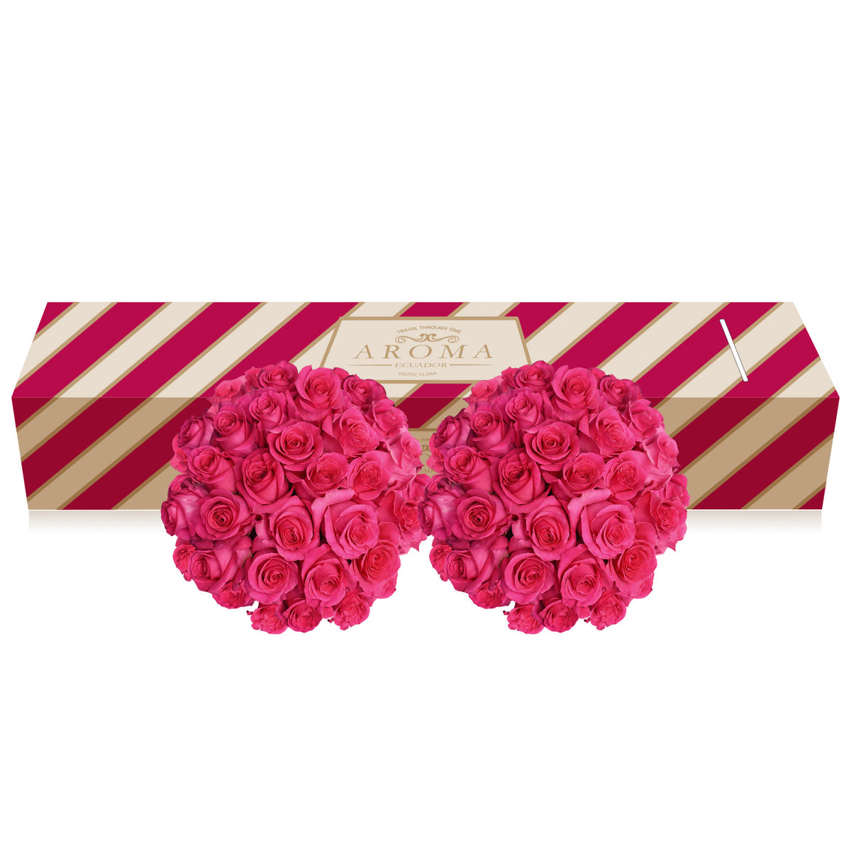 Hot pink Roses the best flower arrangements centerpieces and bouquets to order online for any ocasssion  and Valentine's day