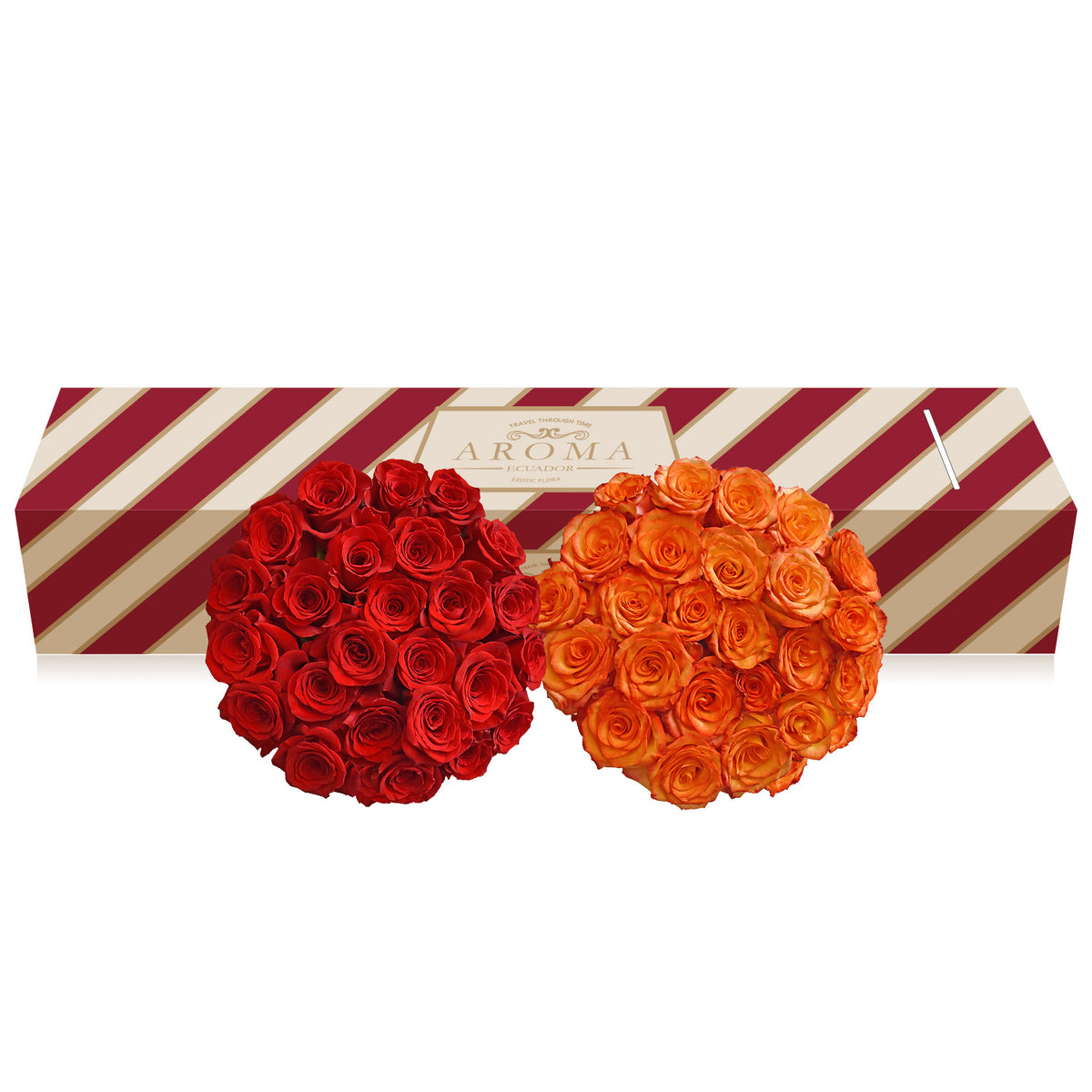 Roses Red and Bicolor Orange - EbloomsDirect