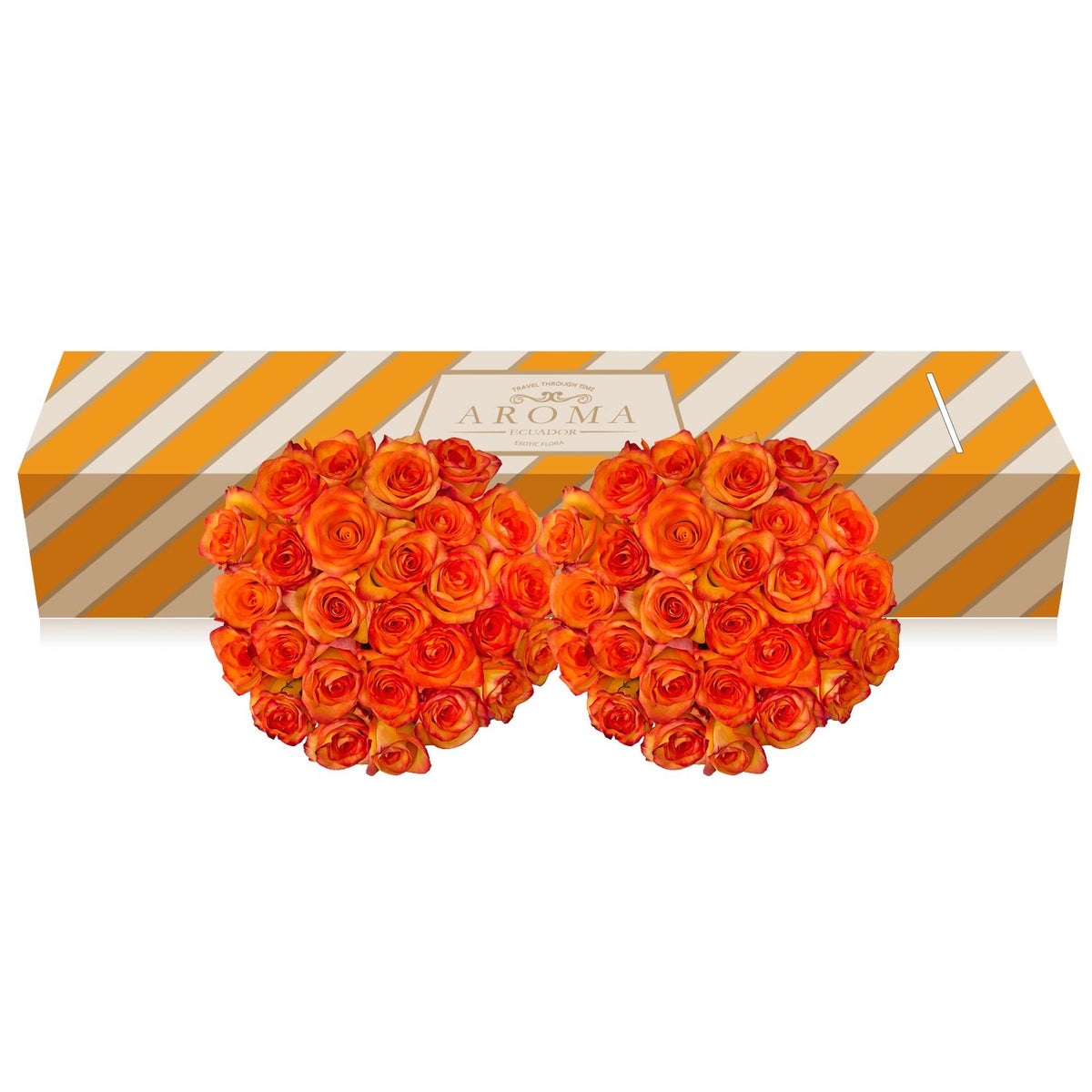 Bicolor Yellow orange roses the best flower arrangements and bouquets to order online for any ocassion and wedding and valentine's day