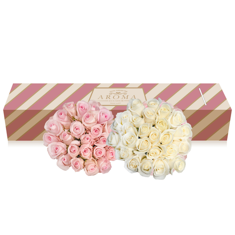 Roses Duo White and Light Pink