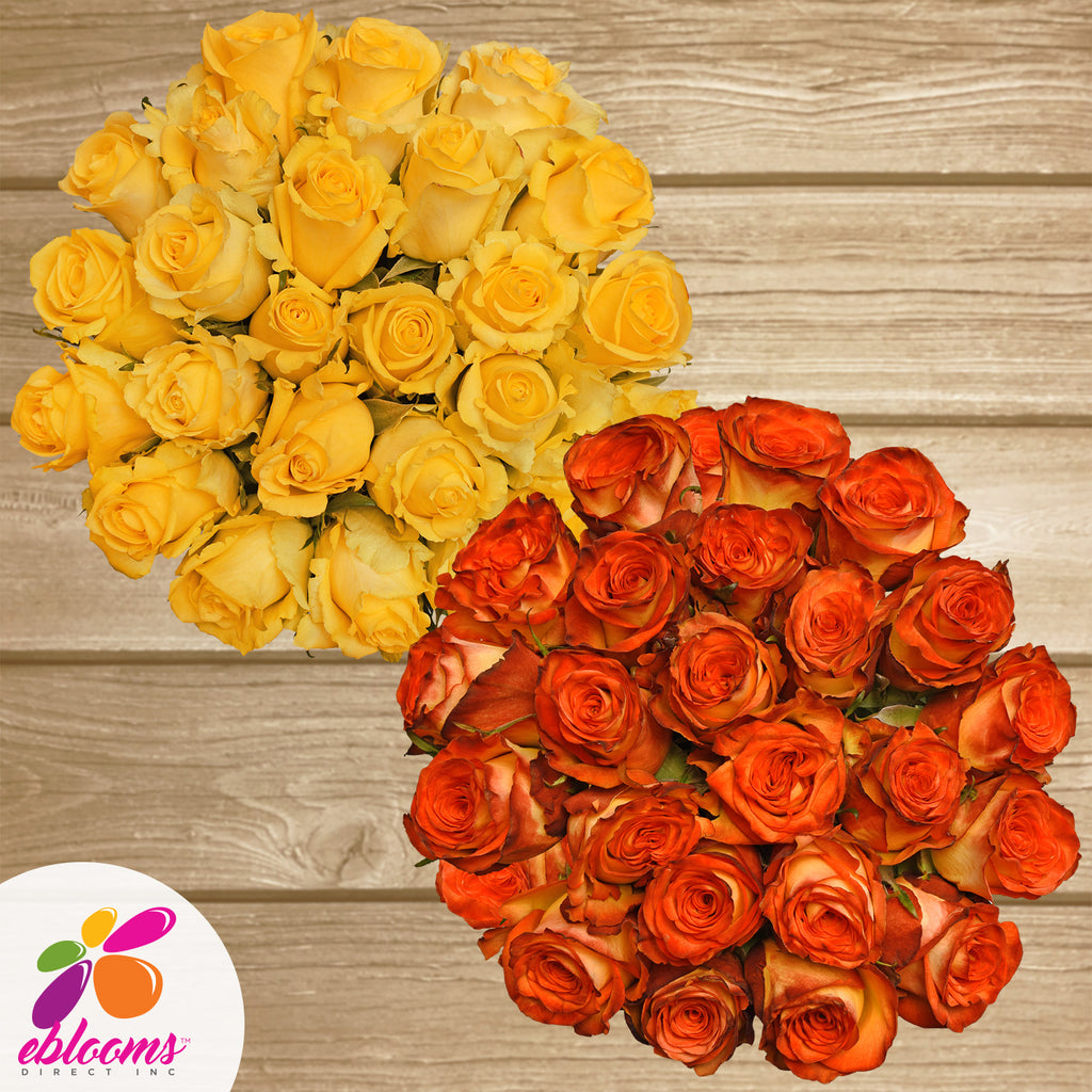 Roses Yellow and bicolor yellow red th best place to order flowers online for any ocassion and valentine's day