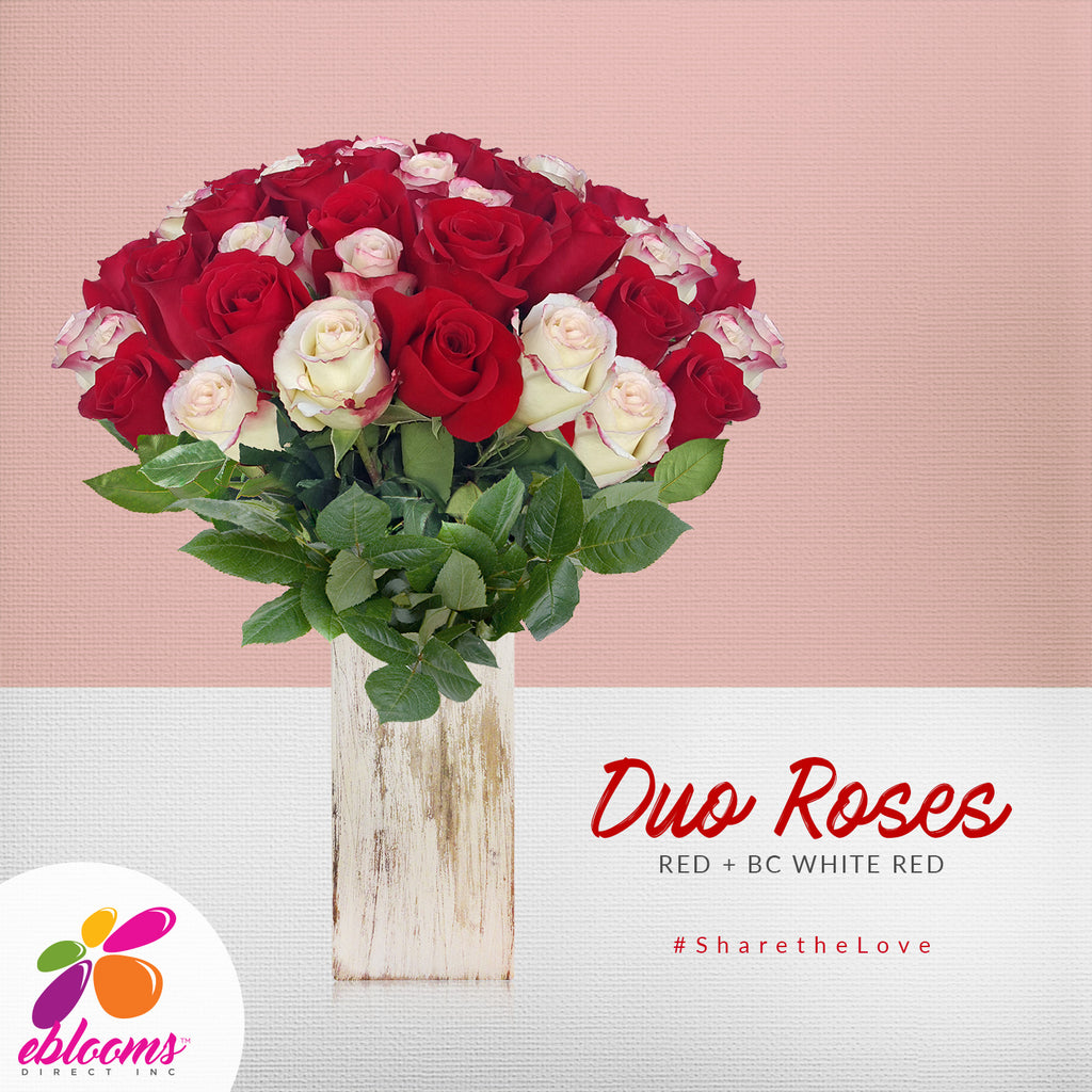 Duo Red and bicolor white Red roses the best flower arrangements centerpieces and bouquets to order online for any ocassion or wedding  and Valentine's day