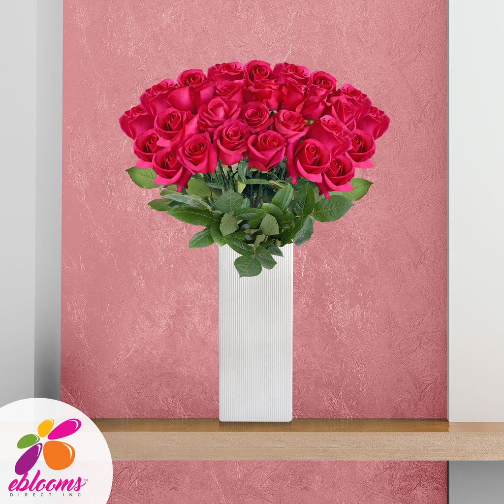 Hot pink Roses Valentine's day 2020 - Fireworks by EbloomsDirect