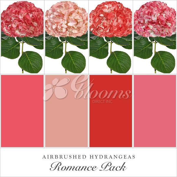 Hydrangea Romance Pack Red - Peach, Light Pink and Coral