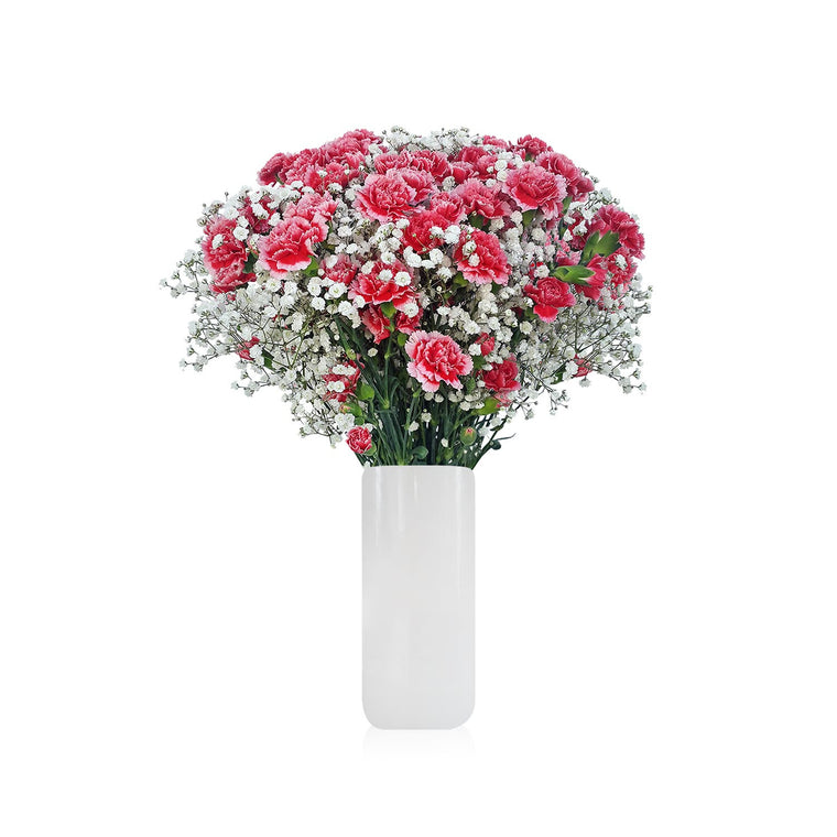 Mini Carnation & Baby breath Bicolor Red & Pink Bouquet Pack 6- EbloomsDirect