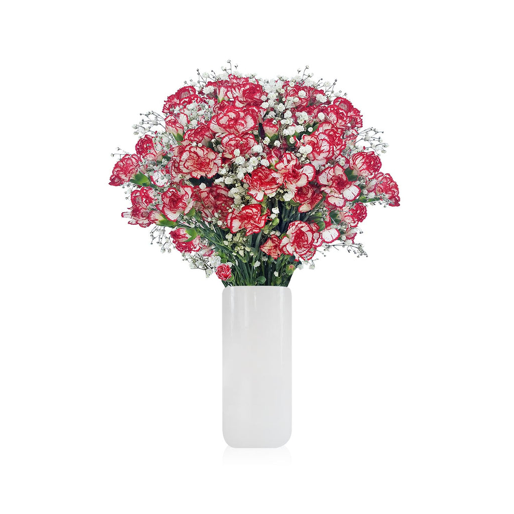 Mini Carnation & Baby breath Bouquet Pack 6- More colors available - EbloomsDirect