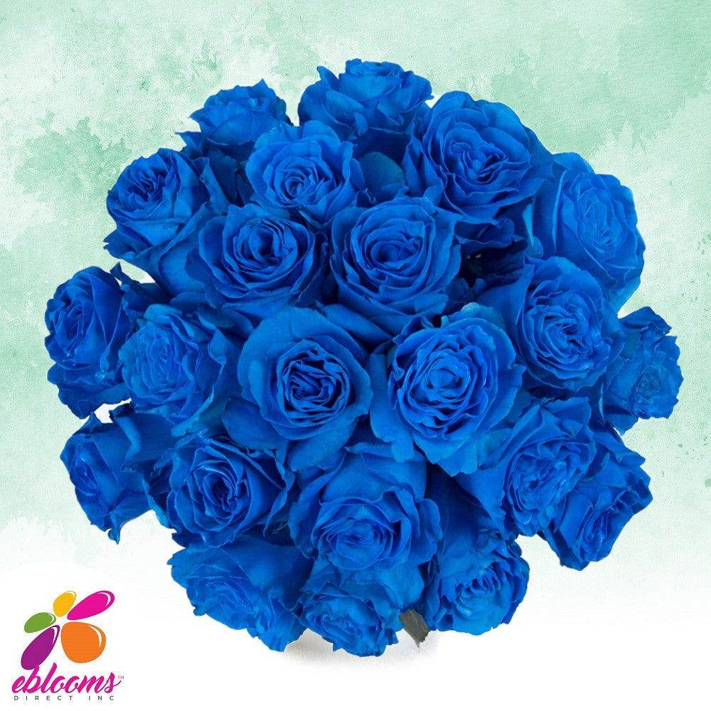 Blue Tinted roses - EbloomsDirect