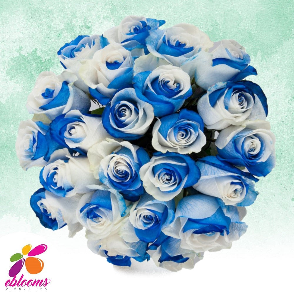 White - Blue Tinted Roses – Eblooms Farm Direct Inc.