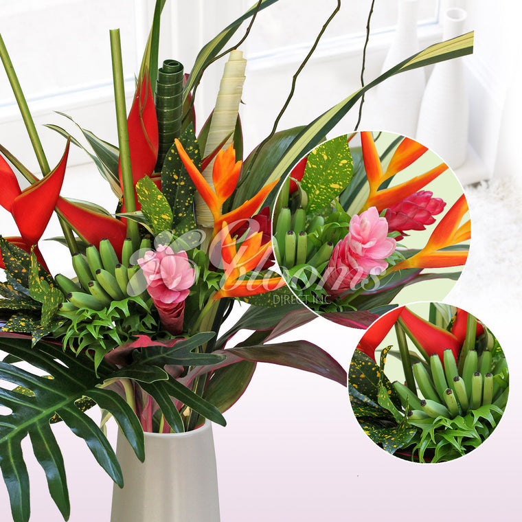 Celebrate Tropical Bouquet - EbloomsDirect