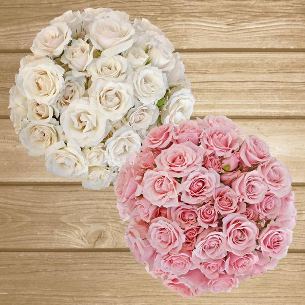 Spray Roses Duo White-Light Pink 40cm - Pack 120 Stems - EbloomsDirect