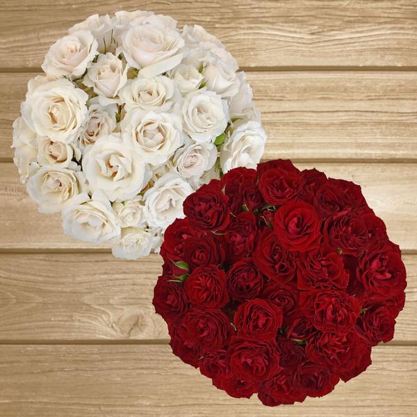 Spray Roses Duo White - Red
