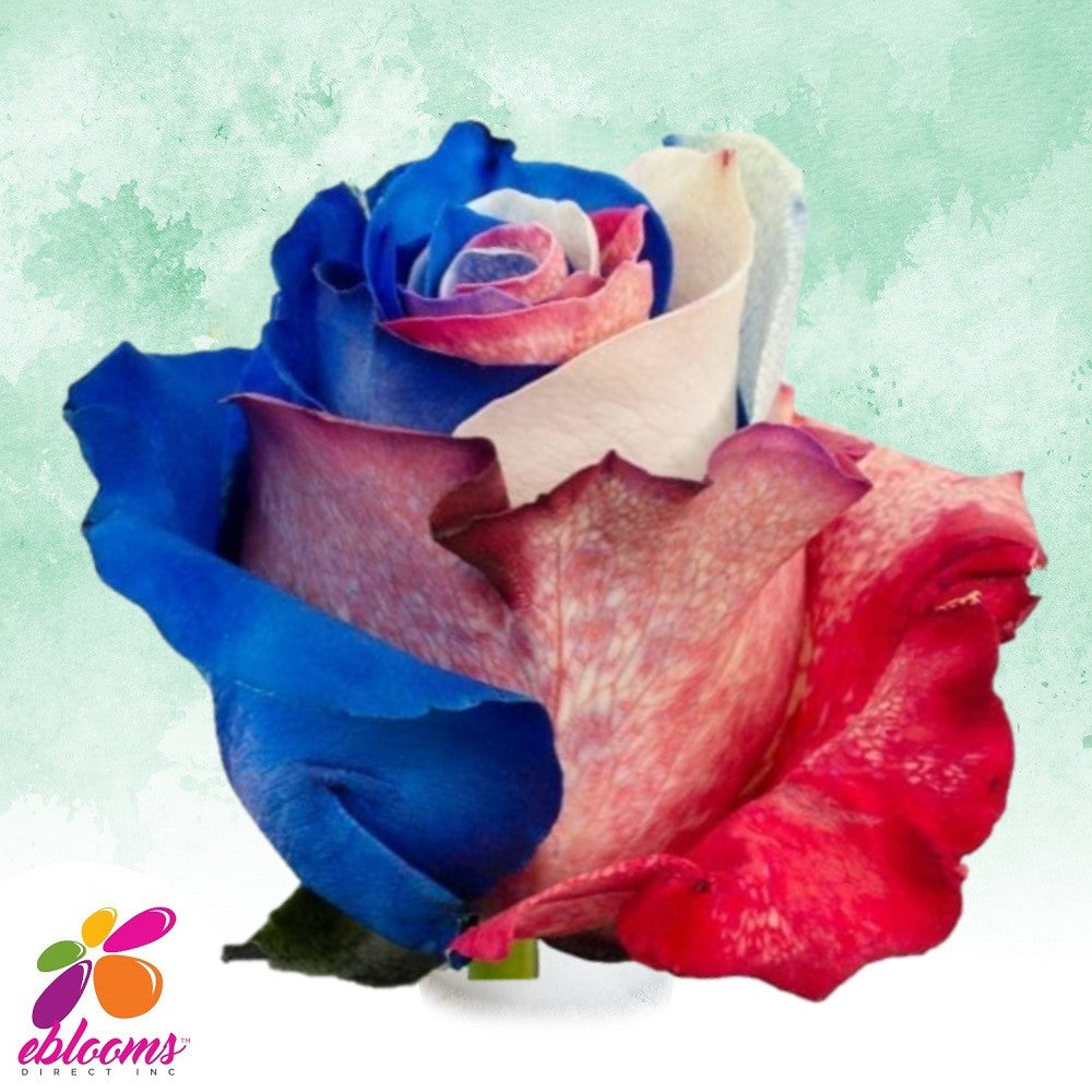 Red - White and Blue Tinted Roses - EbloomsDirect