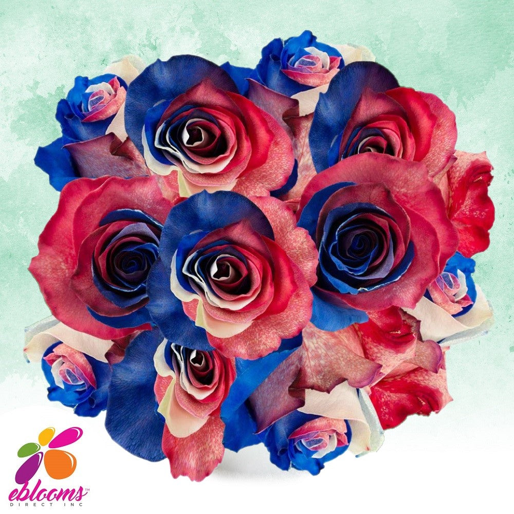 Red - White and Blue Tinted Roses - EbloomsDirect