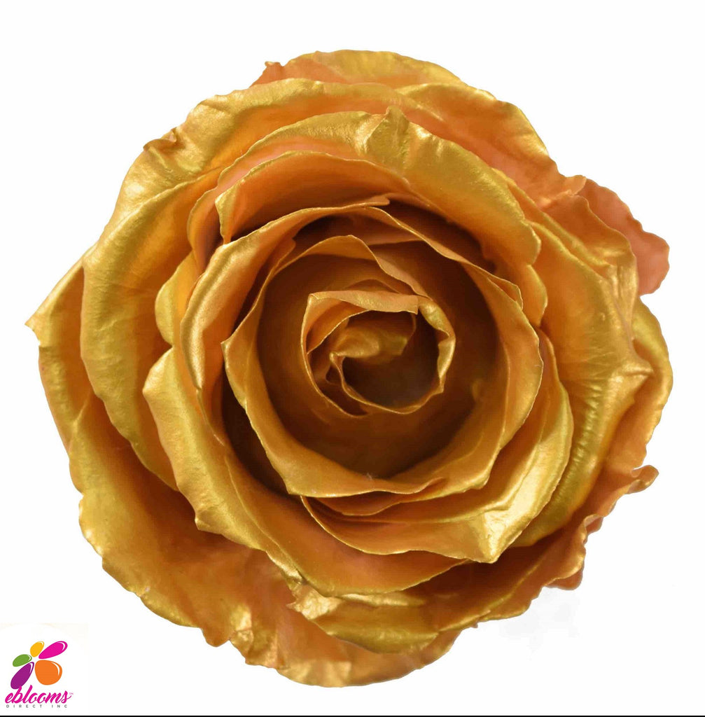 Preserved Flower GOLDEN roses - wholesale rose