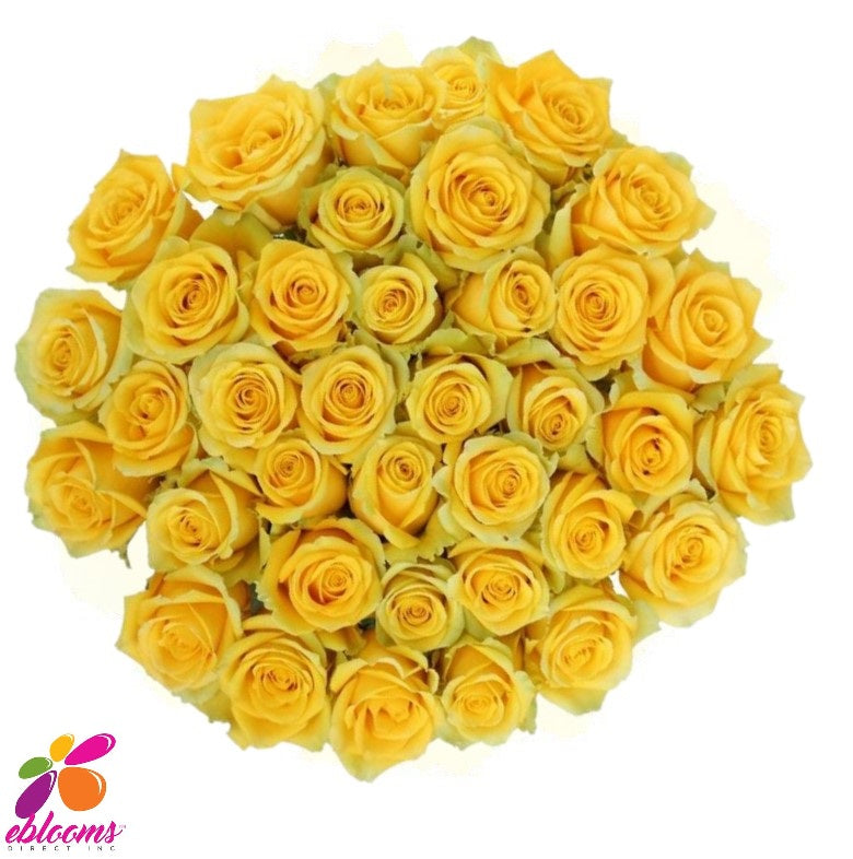 Gospel Yellow Rose bunch - EbloomsDirect