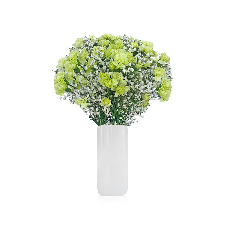 Mini Carnation & Baby breath Green Bouquet Pack 6  - EbloomsDirect