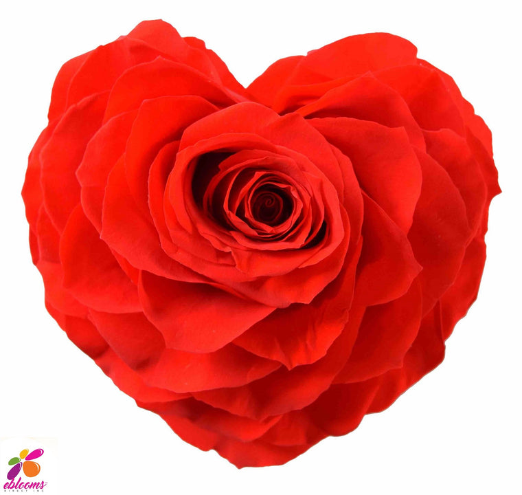 Preserved Roses Red Heart