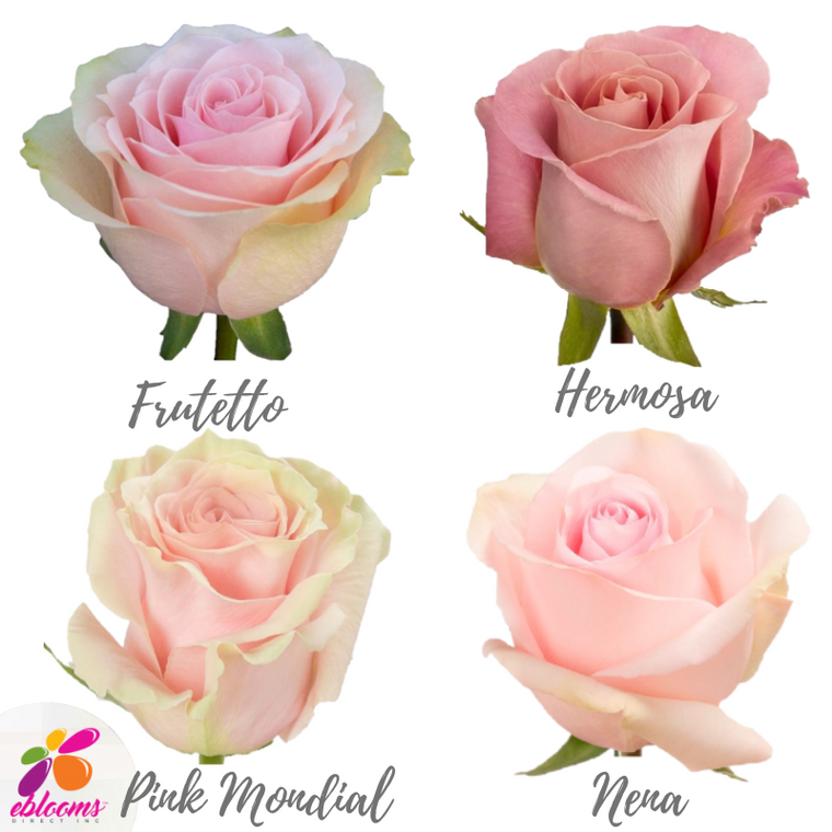 Light Pink Roses Assorted