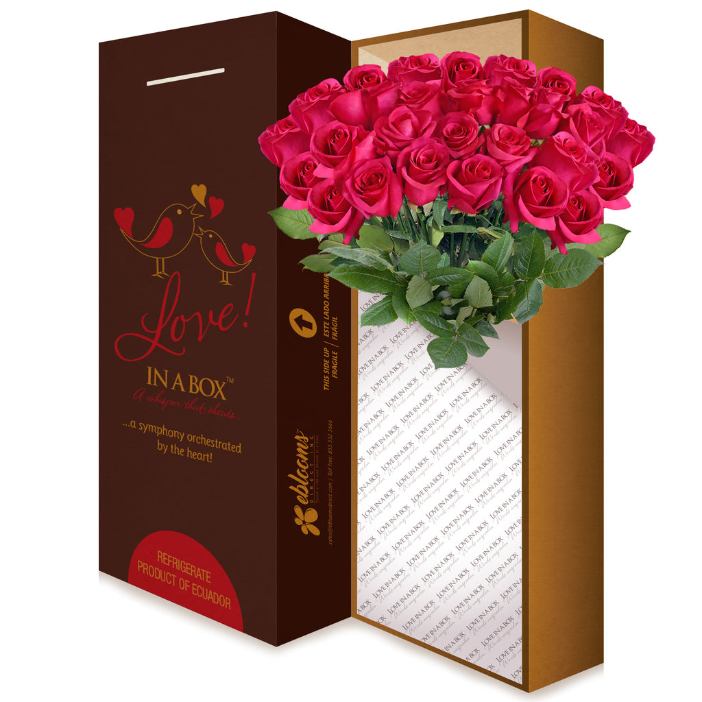 Hot Pink Roses Valentine's day 2020 - Fireworks by EbloomsDirect