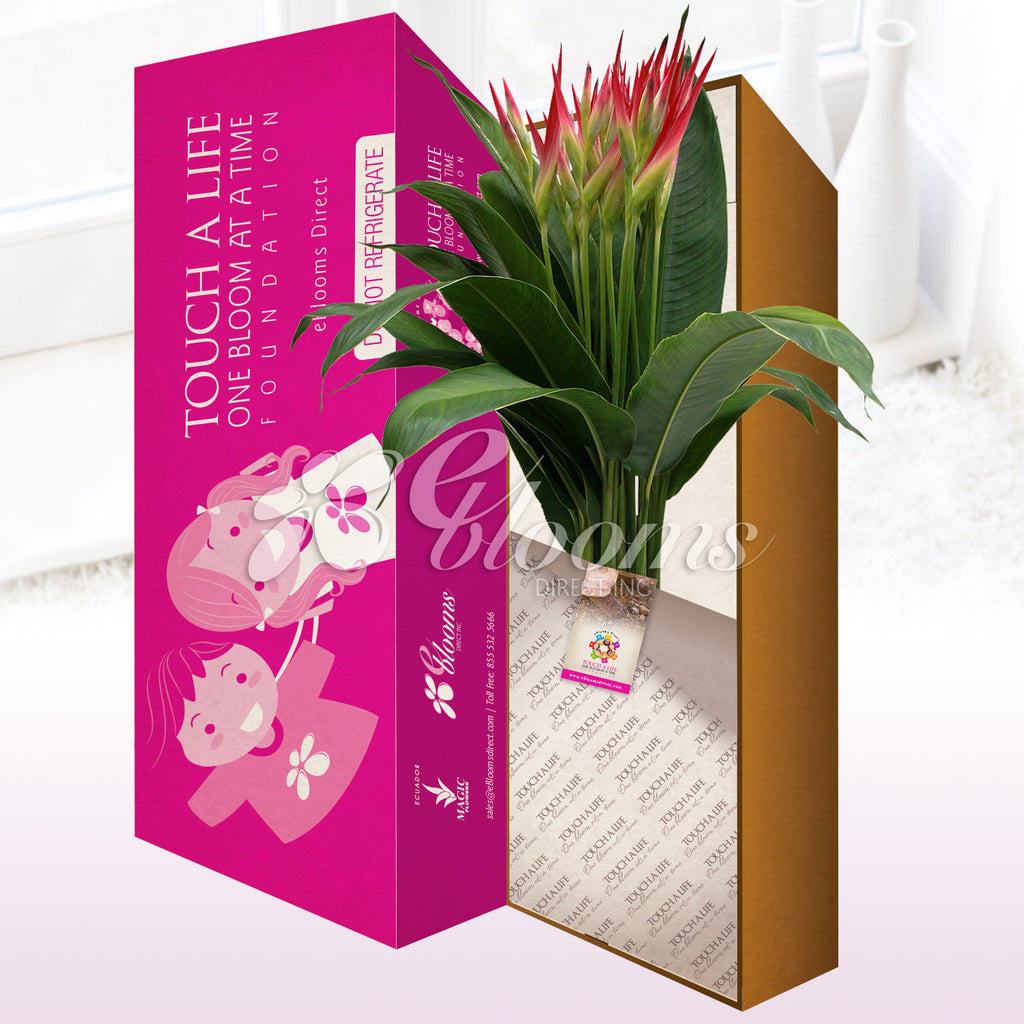 Sassy Bouquet Boxed gift - EbloomsDirect
