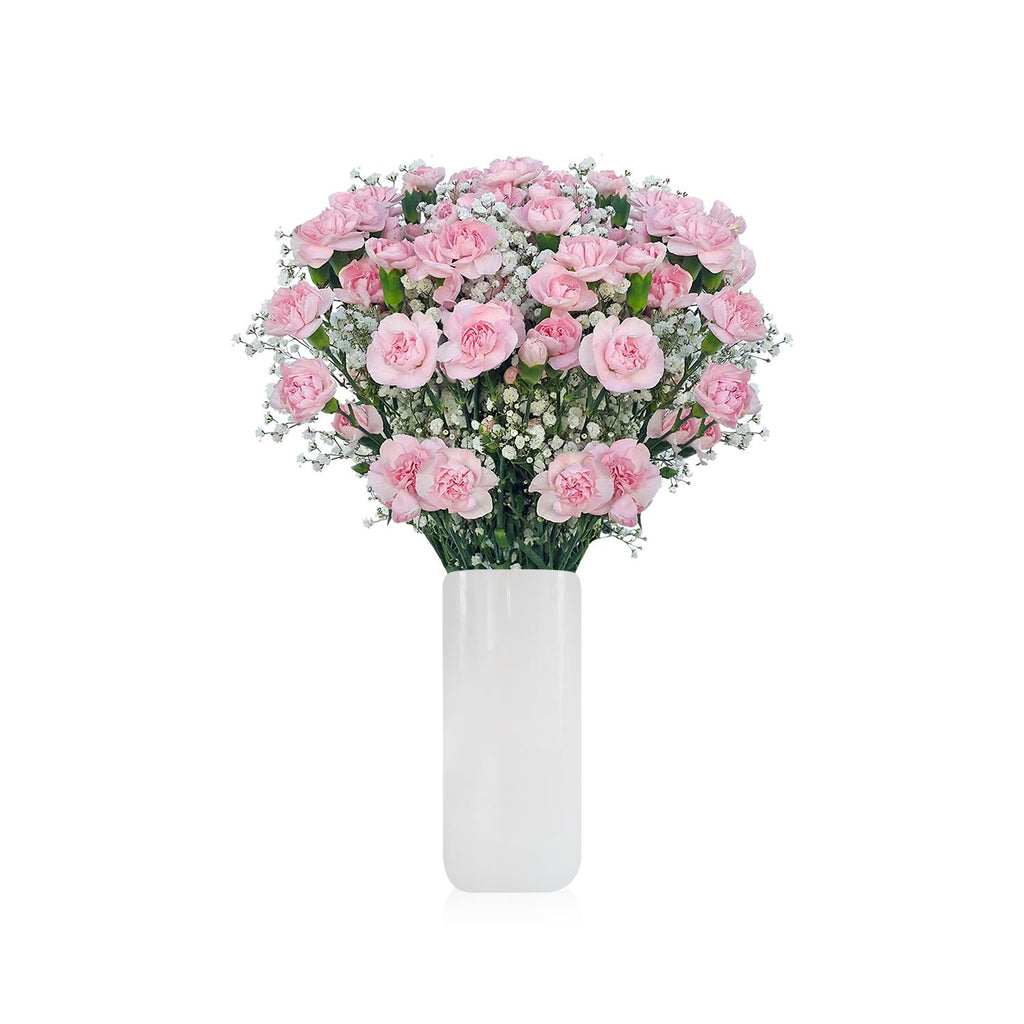 Mini Carnation and Gypsophila bouquet 2019 - EbloomsDirect – Eblooms Farm  Direct Inc.