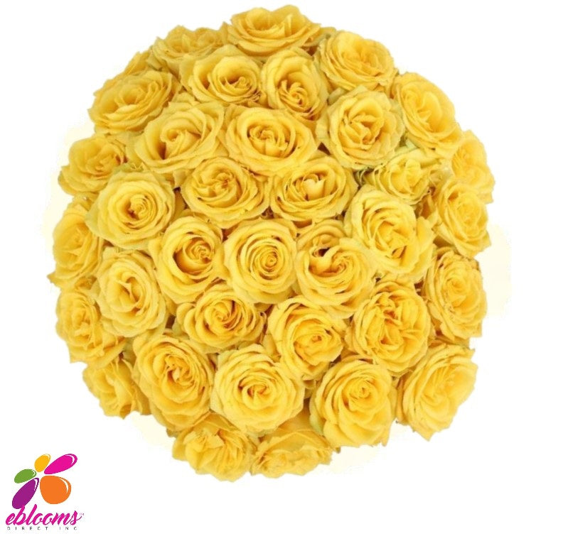 Lighthouse Rose bunch - EbloomsDirect