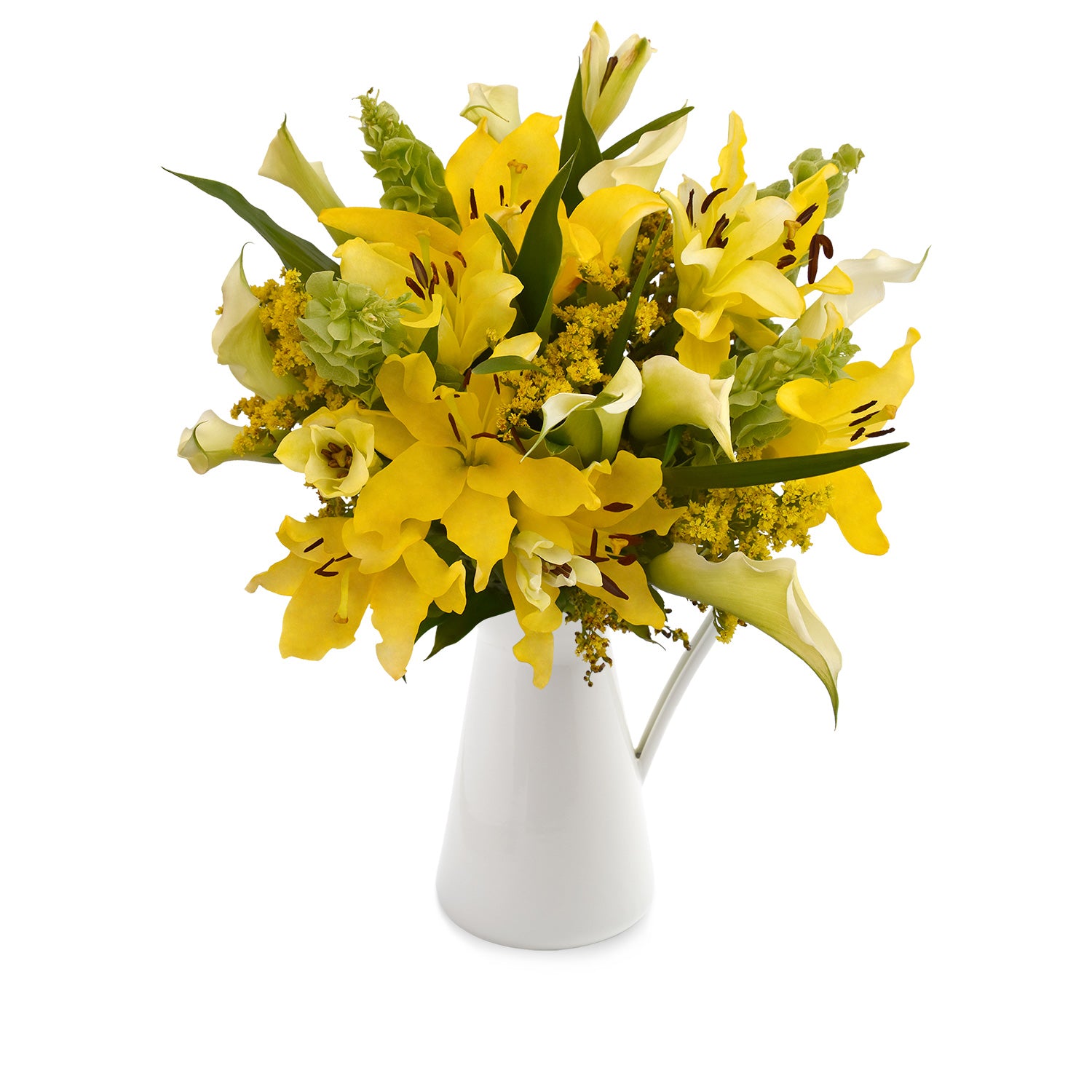 Sonoma Flair Yellow Box