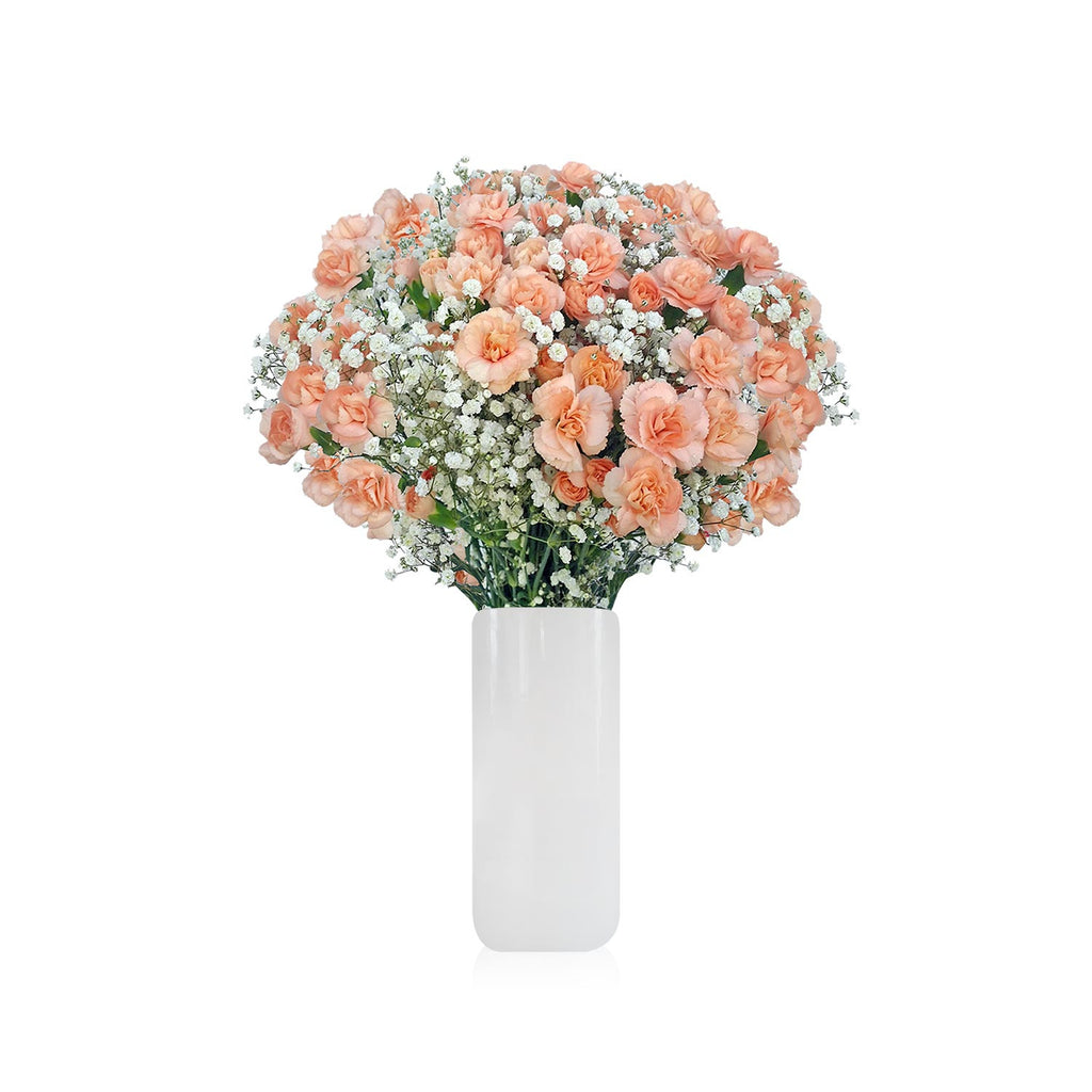 Romantic Carnation Bouquet