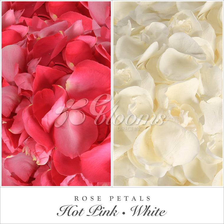 Rose Petals Hot Pink and White