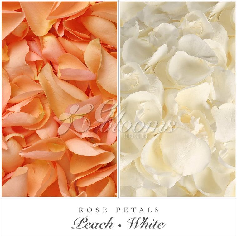 Rose Petals Peach - White