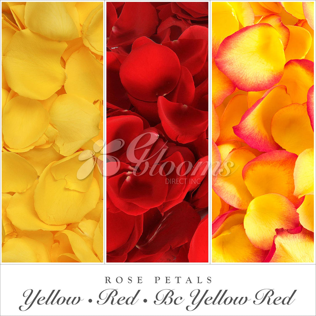 Rose petals Yellow, Red and bicolor orange by Fall weddings