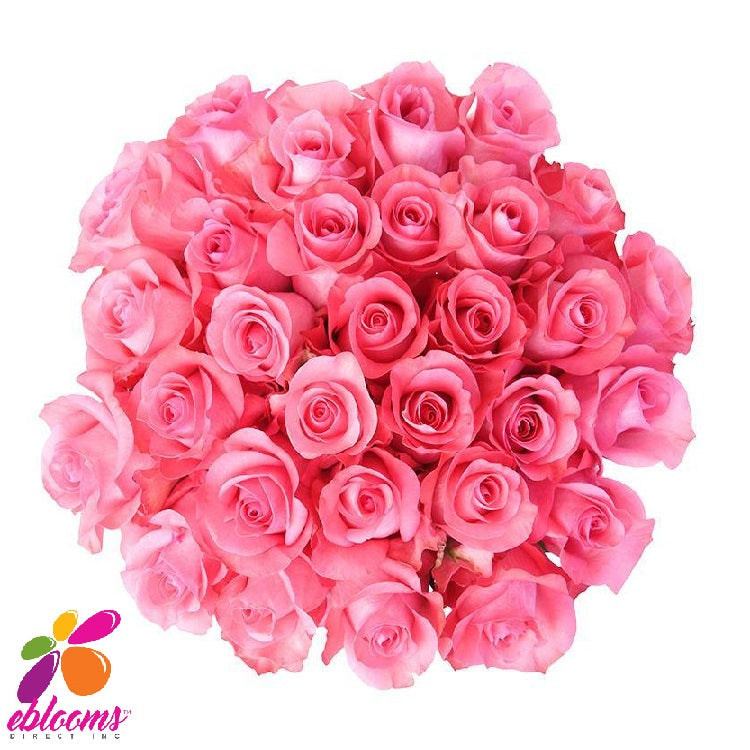 Pink Valus Roses Pink Love Roses – Eblooms Farm Direct Inc.