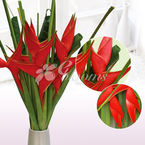 Polished Perfection Tropical Bouquet