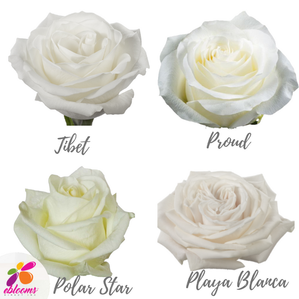 White Assorted Roses at Pam Kirkland blog