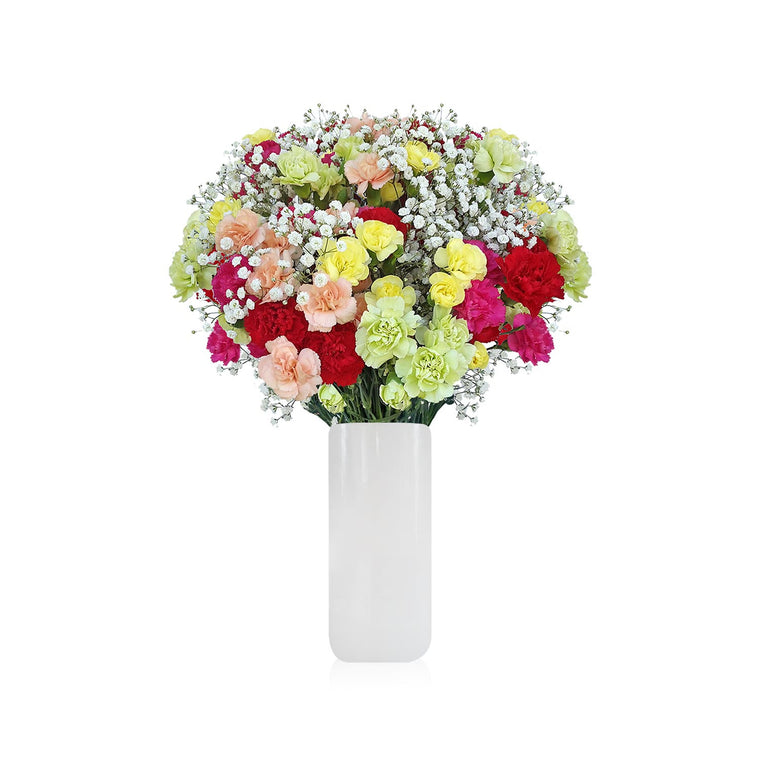 Mini Carnation & Baby breath Rainbow Bright Bouquet Pack 6- EbloomsDirect