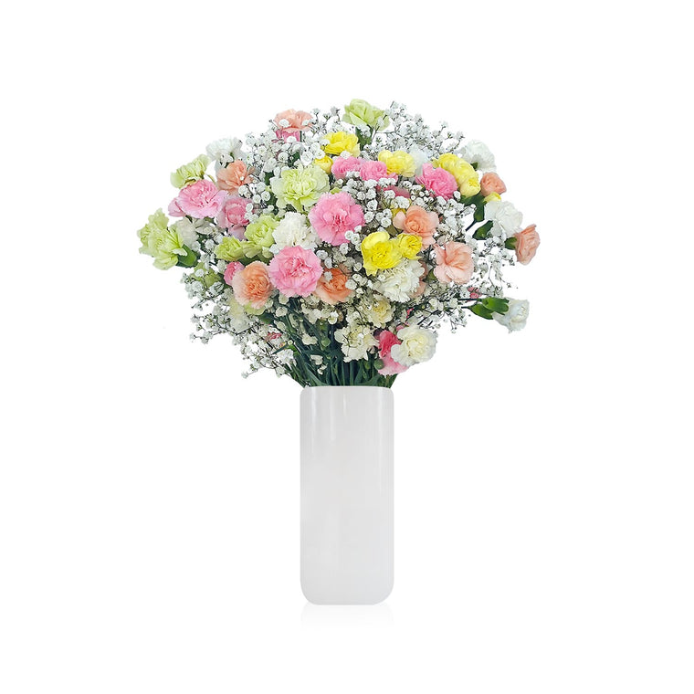 Mini Carnation & Baby breath Rainbow Pastel Bouquet Pack 6 - EbloomsDirect