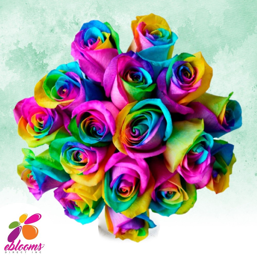 Rainbow tinted Roses - EbloomsDirect