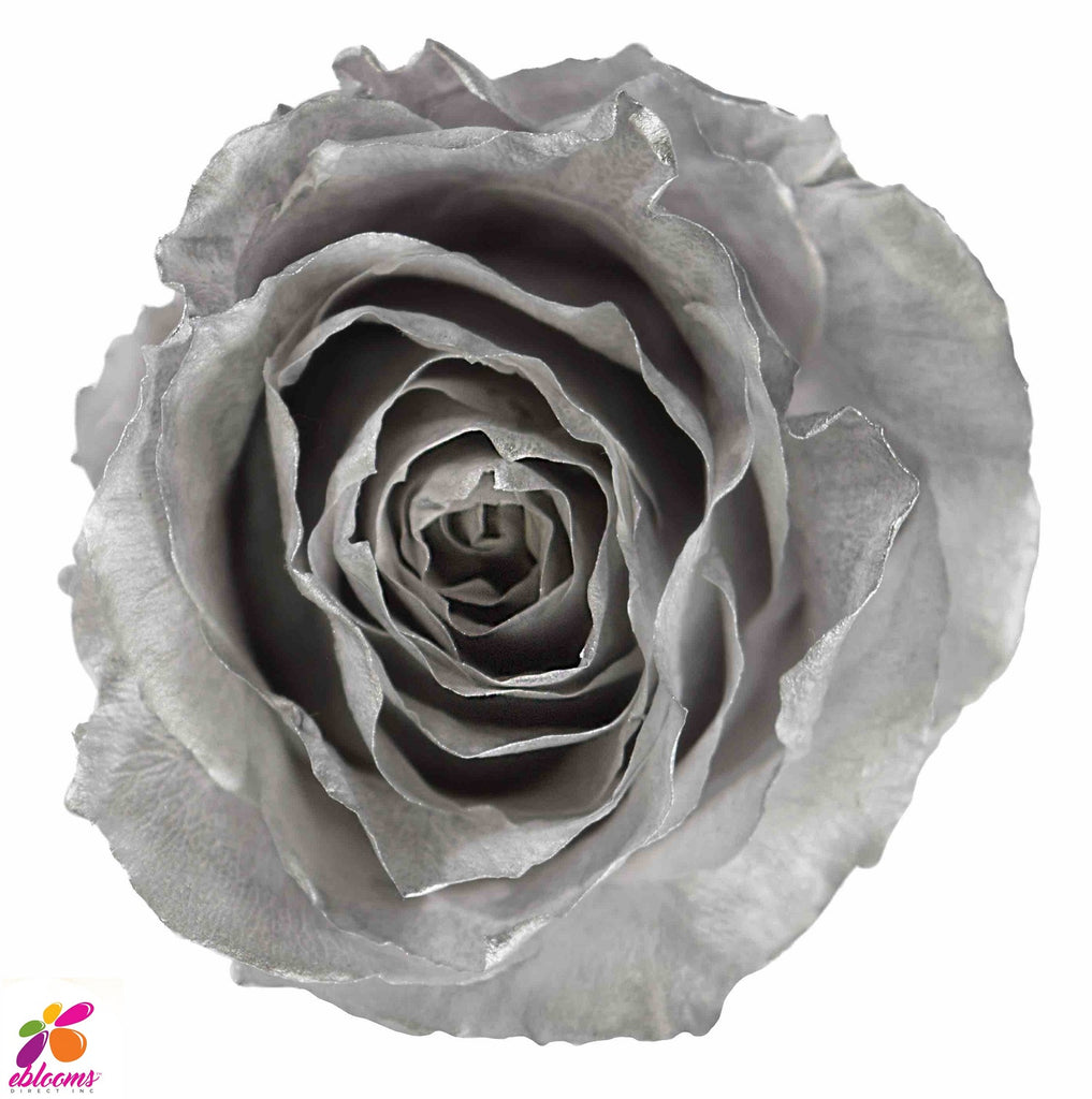 Preserved Flower SILVER roses - wholesale rose
